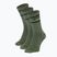 Socks SCOTT Retro Casual Crew 3 pairs tranguil green