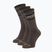 Socks SCOTT Retro Casual Crew 3 pairs wood grey