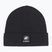 Winter hat Mammut Fedoz black