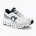 Women's On Cloudmonster 2 undyed/frost running shoes