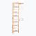 RINAGYM gymnastic ladder SPR B