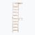 RINAGYM gymnastic ladder SPR B white