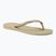 Women's Havaianas Slim sand grey / light golden flip flops