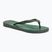 Men's flip-flops Ipanema Tropical III green