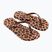 Women's flip-flops Ipanema Animal Print beige/bronze/bronze