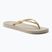 Ipanema Anat Tan beige-gold women's flip flops 81030-23097