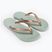 Ipanema women's flip flops Anat Tan green/gold