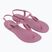 Women's sandals Ipanema Class Linea lilac/lilac/burgundy