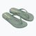 Women's Ipanema Mesh IX flip flops green/green/copper