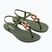 Women's sandals Ipanema Class Connect green/green/bronze