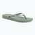 Women's flip-flops Ipanema Anat Colors green