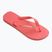 Havaianas Brasil Logo tropical coral flip flops
