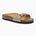 Scholl Estelle Sue dark beige women's slides