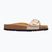Scholl Estelle Laminated taupe women's flip-flops