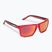 Cressi Rio Crystal red/red mirrored sunglasses XDB100110