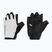 Men's cycling gloves Northwave Active Max Short Finger light grey
