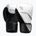 Boxing gloves Hayabusa E1 Boxing white/silver