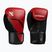 Boxing gloves Hayabusa E1 Boxing red/black