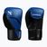 Boxing gloves Hayabusa E1 Boxing blue/black