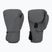 Boxing gloves Hayabusa T360 Boxing charcoal