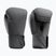 Boxing gloves Hayabusa T360 Boxing charcoal