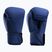 Boxing gloves Hayabusa T360 Boxing blue