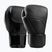 Boxing gloves Hayabusa E1 Leather black