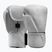 Boxing gloves Hayabusa T360 Leather white