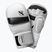 Hayabusa T3 Hybrid white/black grappling gloves