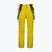 Men's ski trousers CMP 3W17397N gold green