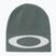 Winter hat Oakley Ellipse Beanie aviator green