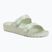 Women's slides Scholl Primt Flora EVA