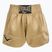 Training shorts Everlast Muay Thai gold/black