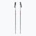 Trekking poles  Fizan Explorer beige/red
