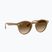 Sunglasses Ray-Ban RB2180 light brown/brown gradient