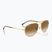Sunglasses Ray-Ban Bain Bridge arista gold/clear brown