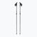 Nordic walking poles Fizan R-evolution grey/ocean