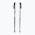 Ski poles Fizan Action Pro blue