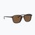 Sunglasses Ray-Ban Leonard tortoise/brown polarized