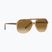 Sunglasses Ray-Ban Bill havana brown/transparent brown