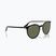 Sunglasses Ray-Ban RB2204 transparent black/green polarized