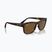 Sunglasses Ray-Ban RB4428 havana matte/brown polarized