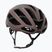 Bike helmet KASK Protone Icon espresso brown matt