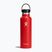 Hydro Flask Standard Flex 620 ml travel bottle goji