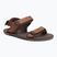 Men's barefoot sandals Xero Shoes D-Trail cocoa brown/java brown