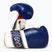 Boxing gloves Rival Impulse Sparring navy