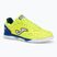 Men's Joma Top Flex Rebound IN football boots yellow/royal