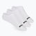 Children's socks SKECHERS Non Terry No Show 3 pairs white traditional