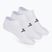 Men's socks SKECHERS Microfiber Non Terry No Show 3pairs white traditional