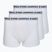 Men's boxers KARL LAGERFELD Logo Trunk 3 pairs white